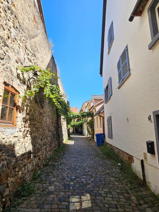 Casa Ciconia - Ueber Den Daechern Der Altstadt Freinsheim Exterior foto