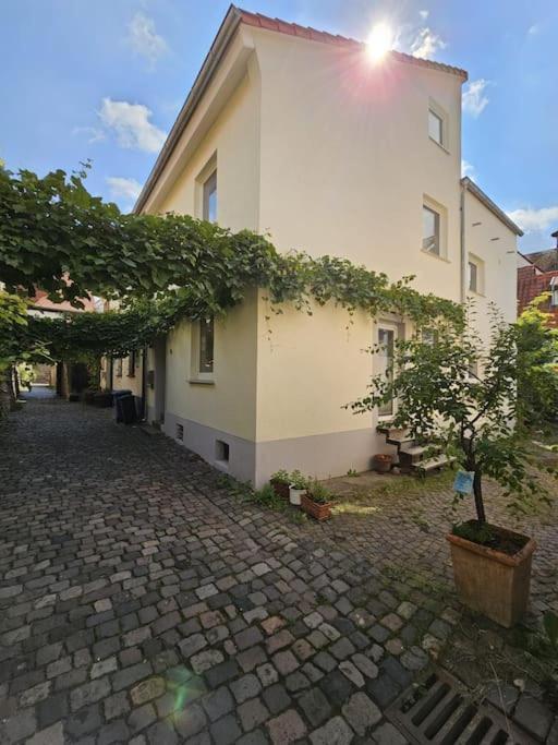 Casa Ciconia - Ueber Den Daechern Der Altstadt Freinsheim Exterior foto