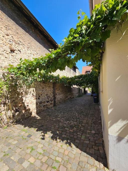 Casa Ciconia - Ueber Den Daechern Der Altstadt Freinsheim Exterior foto