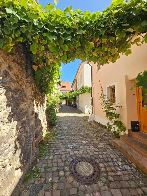 Casa Ciconia - Ueber Den Daechern Der Altstadt Freinsheim Exterior foto
